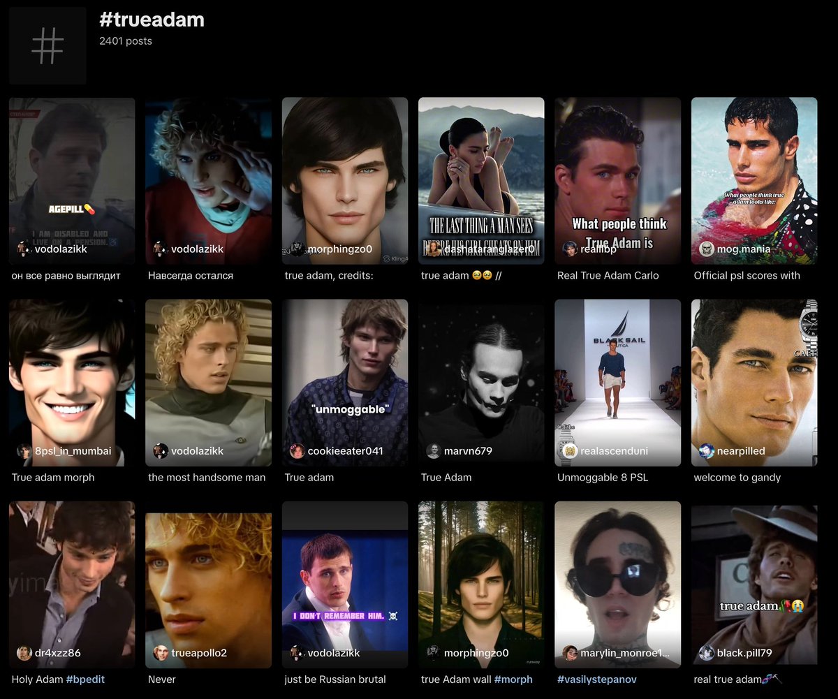 trueadamcto's tweet image. We keep spreading the $Adam virus, every day...