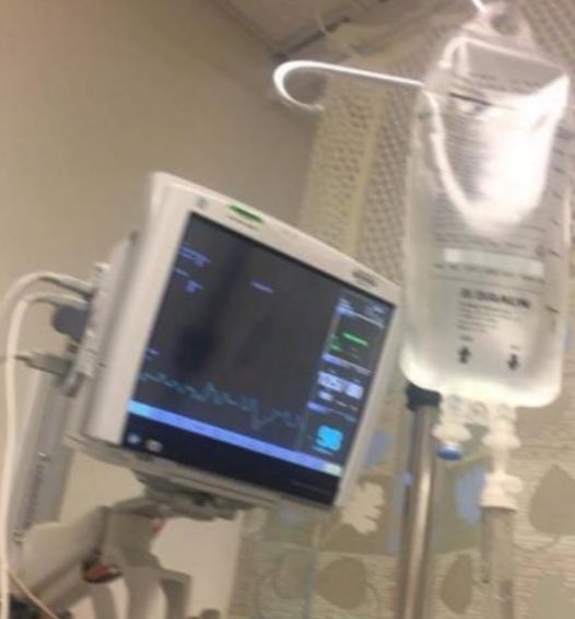 stochasticchasm's tweet image. TORCH NIGHTLY