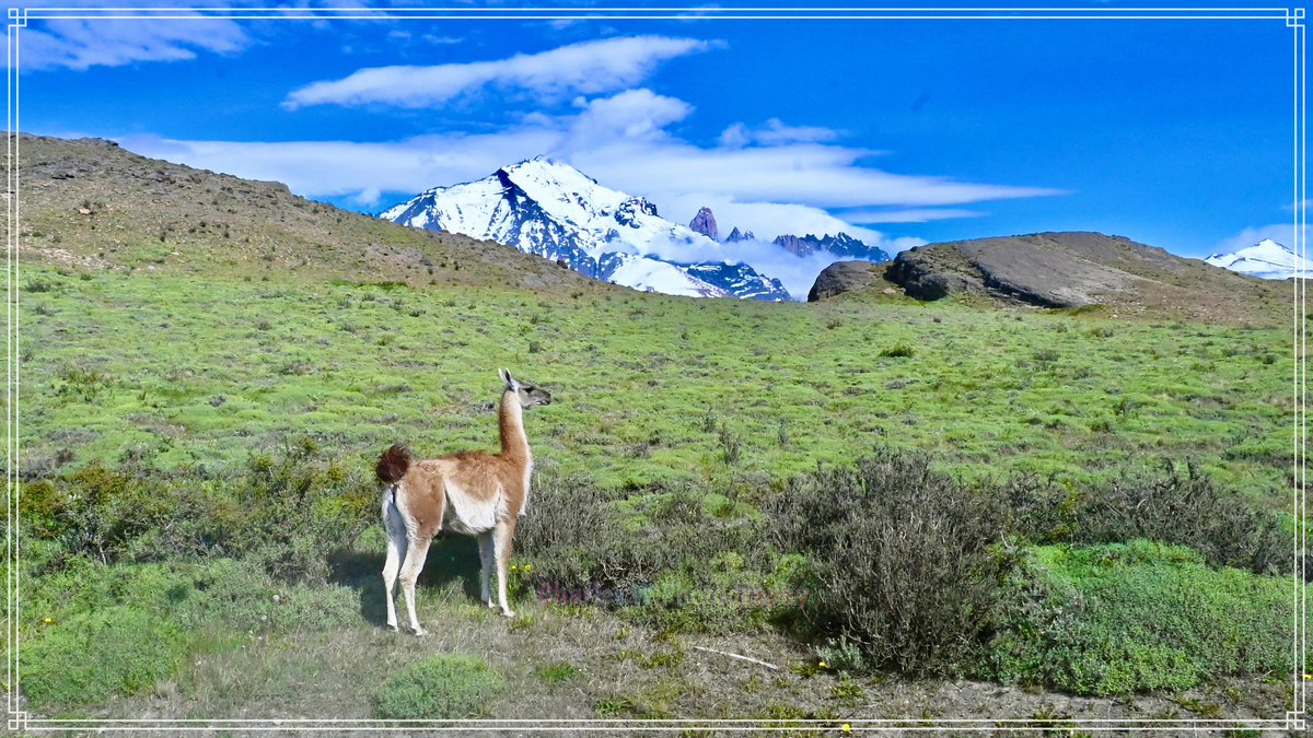 wangcharl's tweet photo. Torres del Paine https://t.co/OkY0CluYst