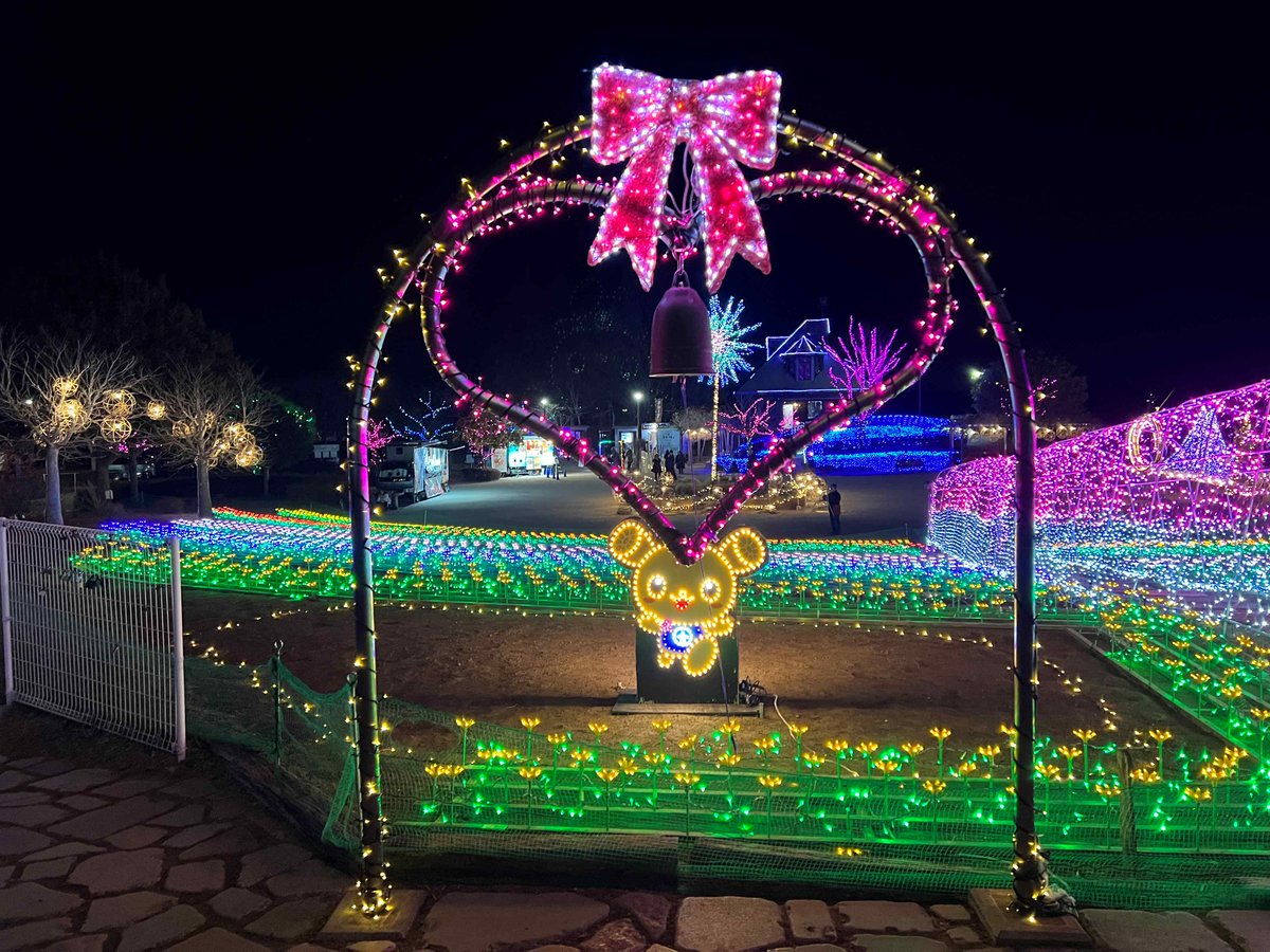 第14回光がつくる “Art” ＃水郷桜イルミネーション✨ 霞ヶ浦総合公園の