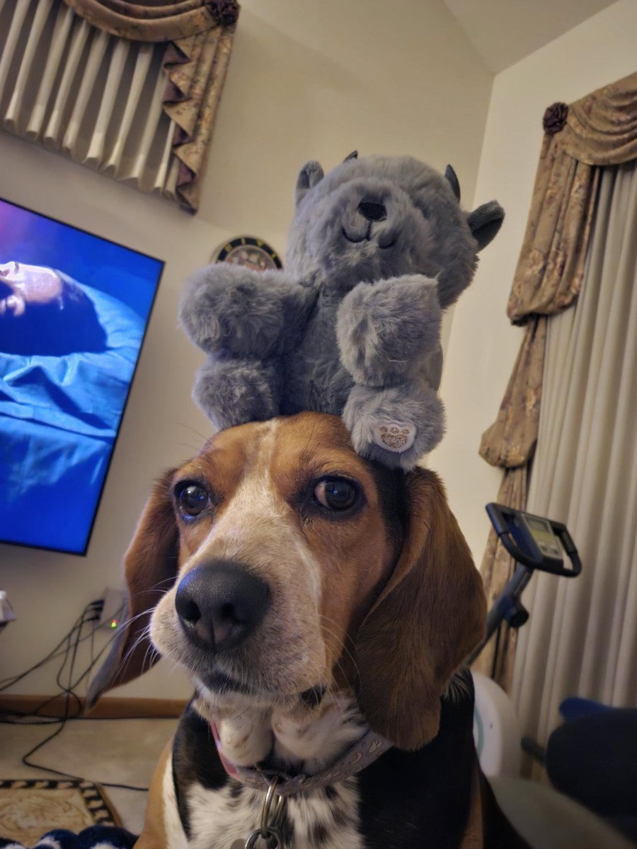 peekaboopandaaa's tweet image. She&apos;s 5 years old tomorrow 🥺😭