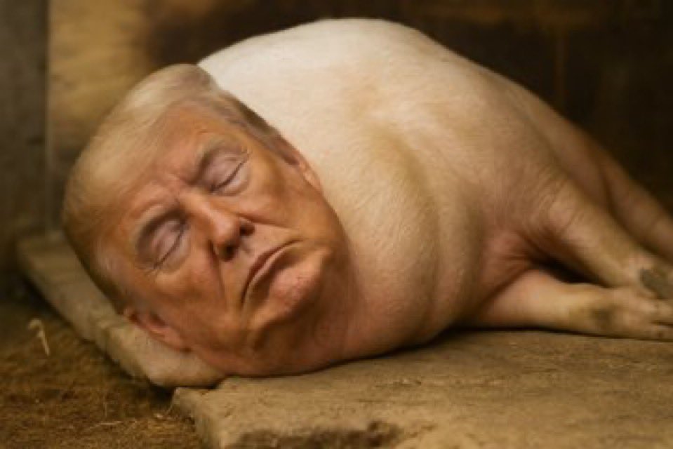 I’m posting this just because 😂😂😂