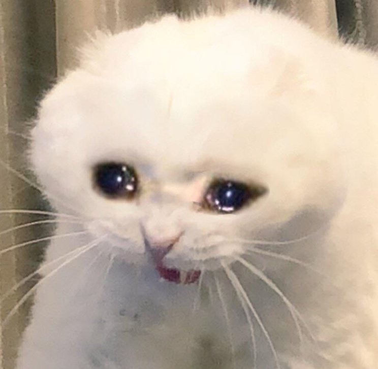 Que es eso de "latina" ?? Se equivocaron, era "Argentina " #MissUniverse