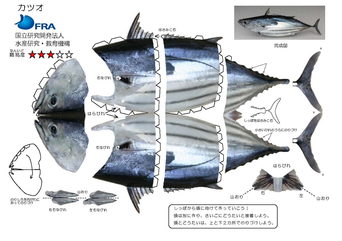 べっちゃん べっちゃん🦈11/16 カ66ab (@amclavespm) / Posts / X