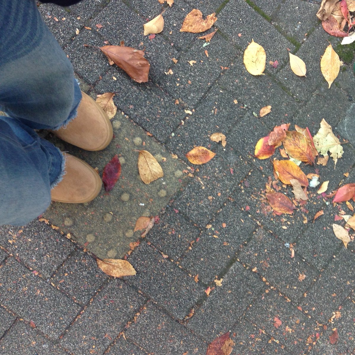 薄 (@usu_84) on Twitter photo 