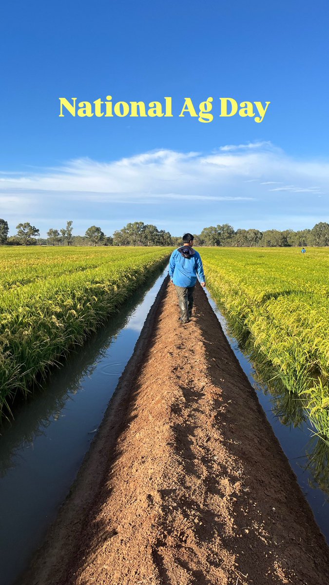 Happy National Ag Day! Australia’s biggest celebration of the people, places and innovations that keep us fed and clothed! 🌾 

#NationalAgDay #rice #ricebreedingaustralia #agriculture