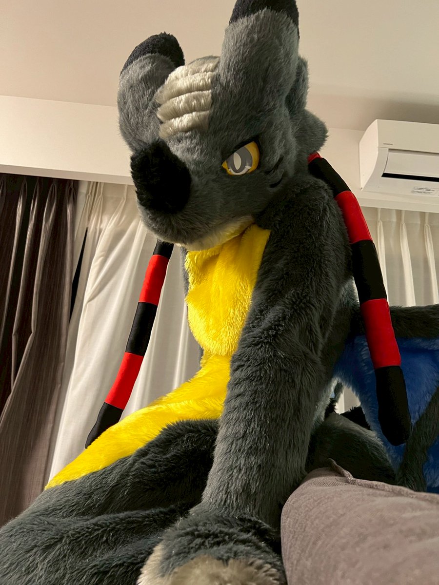 #FursuitFriday
やっぱうちの子尊いよねぇ…(親バカ