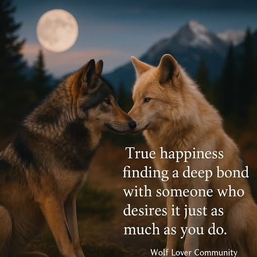 tbentley08's tweet image. Give Wolves a Chance!
#SaveTheLobo
#RelistWolves