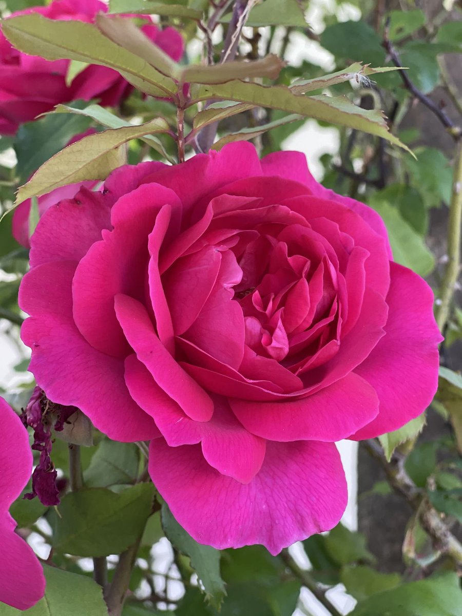 نسائم شتويه نديه وصباح هادئ اللهم اجعله يوما سعيدا للجميع 

#صباح_الخير