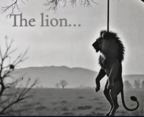 WRagekid (@kingk_arc) on Twitter photo 