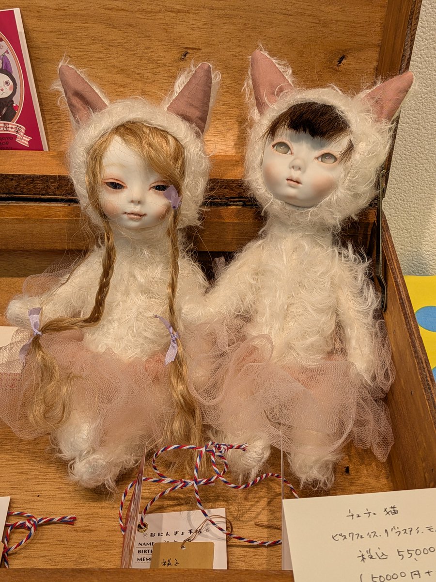 🎪おにんぎょ屋 葉🎪 (@cat_doll_holic) / Posts / X