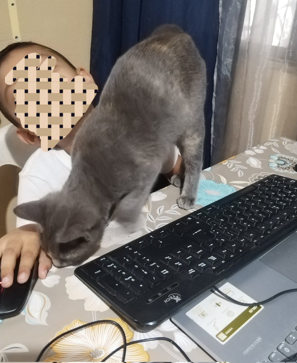 _Lena30's tweet photo. Semejante gatota!! https://t.co/4ylkboZnF8