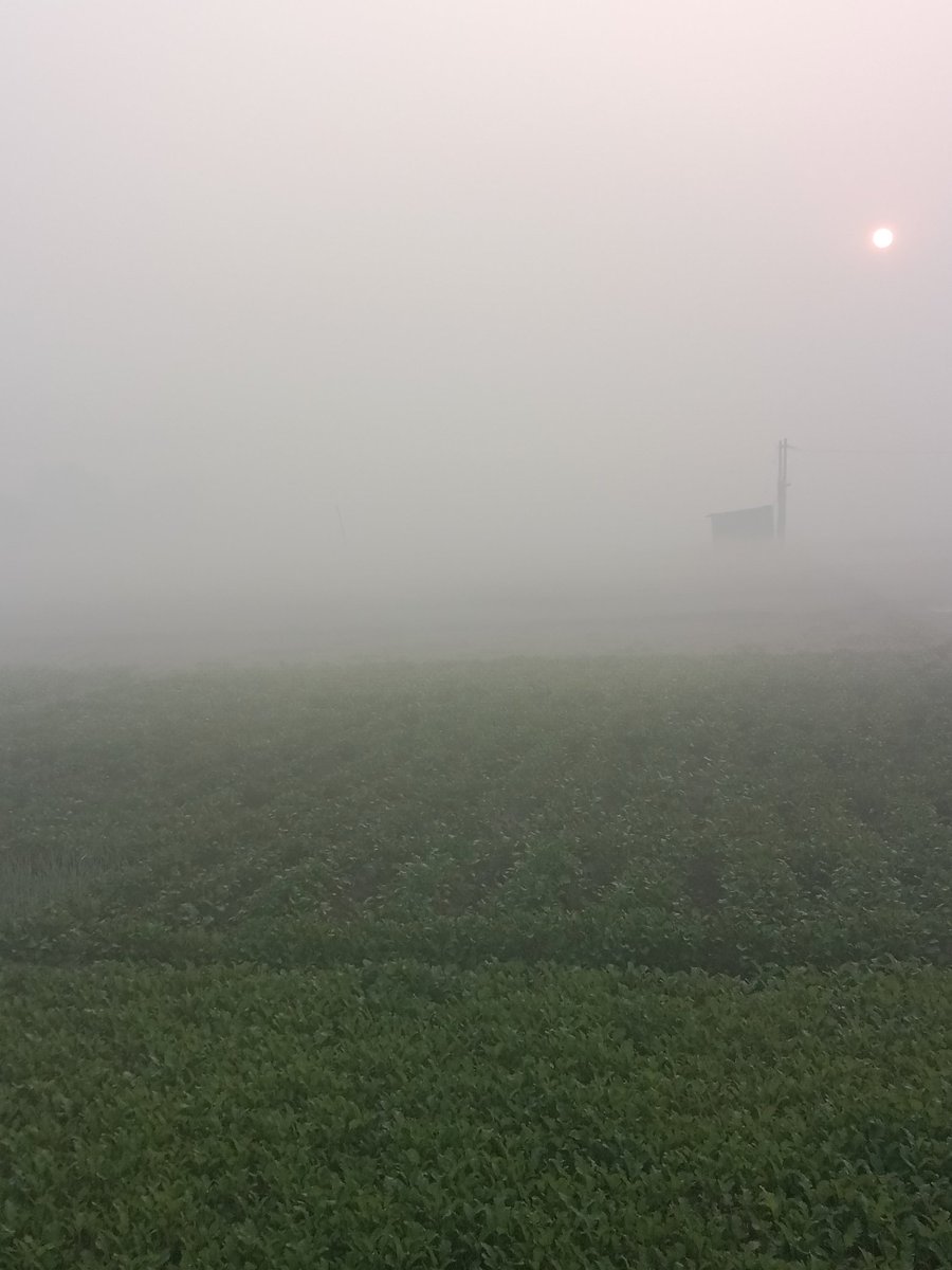 "धुंध की चादर में लिपटी सुबह… 🌫️
सूरज भी आज धीरे-धीरे जाग रहा है।
खामोशी में भी प्रकृति अपनी कहानी कह ही देती है। 🌅"

#FoggyMorning
#NatureLovers
#SilentVibes
#AestheticMorning
#NatureWhisper