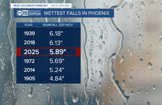 Amber Sullins tweet media