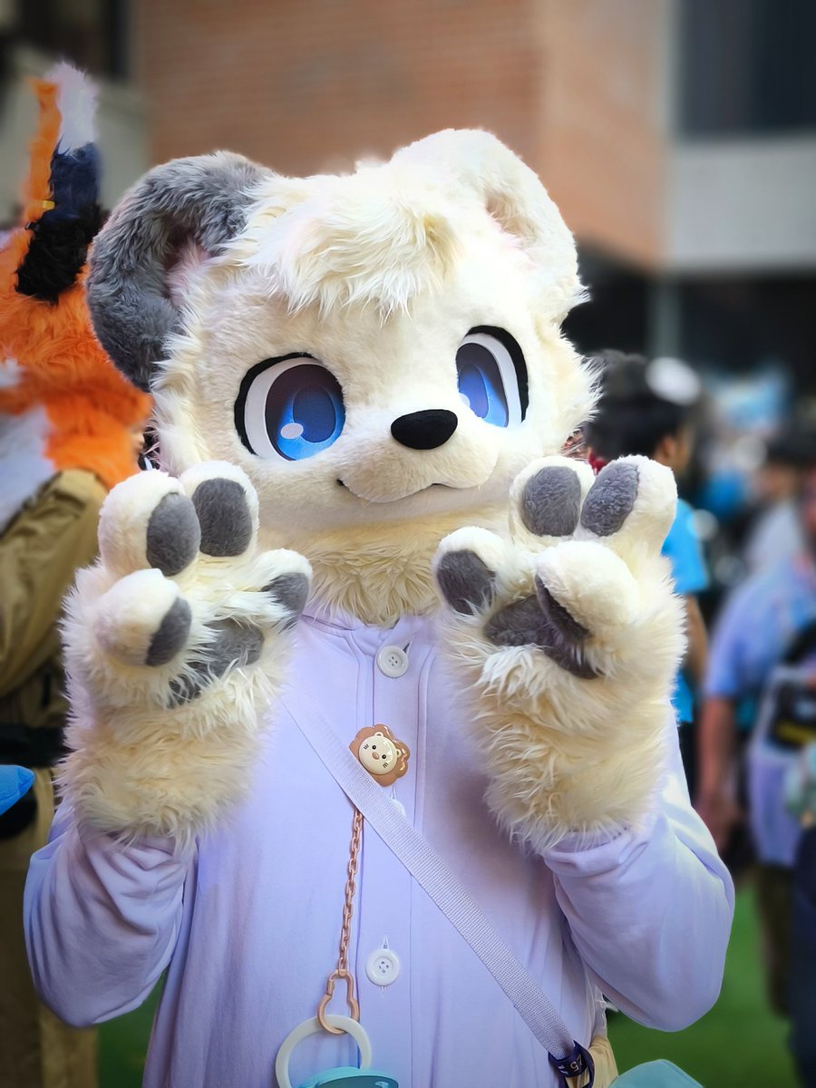 NakedBearRoo's tweet image. Had a really fun weekend last week. I dont know how to pose 🥲  my 🐾 looks delicious though

📷: MaccaLFC

#fursuitFriday #polarbear #paws