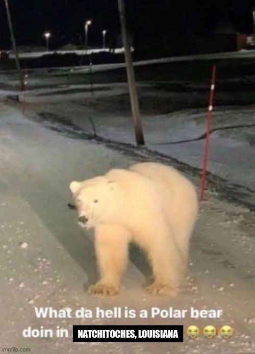 SouthlandSports's tweet image. 