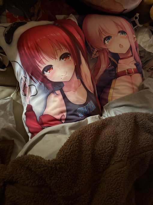 掛け布団と毛布で計2枚、あと抱き枕ふたりが最近のデフォ
掛け布団の上に毛布敷くと熱逃げなくてあったかいのだ 