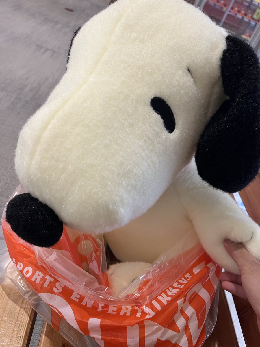 LELO_1027's tweet photo. 地元のモールにロードで来て、適当にどうせ取れないだろうと1回UFOキャッチャーやったら取れちゃった。これ持ってロードで帰らないといけない💦 https://t.co/nhbAsQdssi