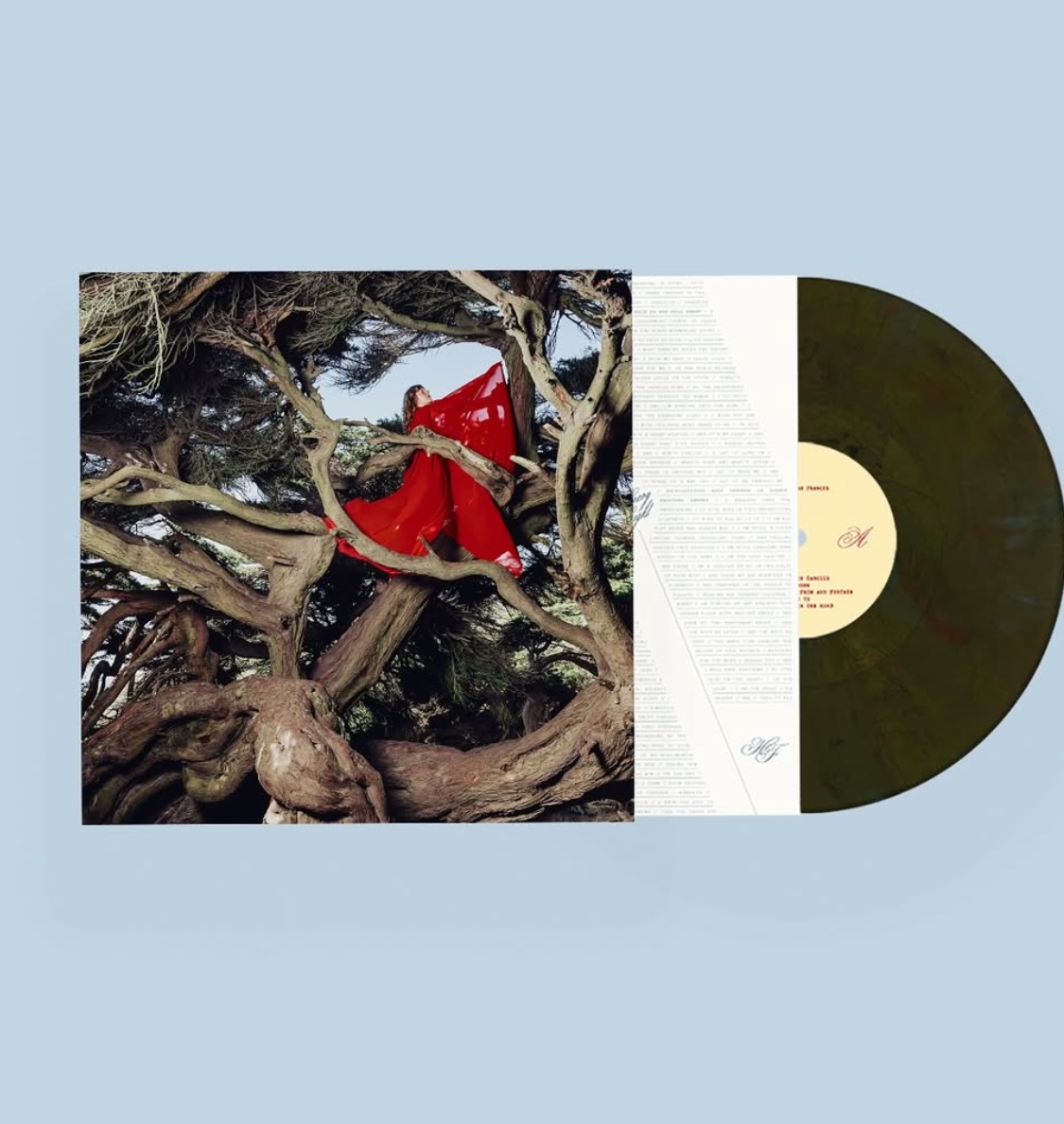 firetalkrecs's tweet image. down to the last few copies of the cypress swirl variant 

get yours: firetalkrecs.com/shop/hannahfra…