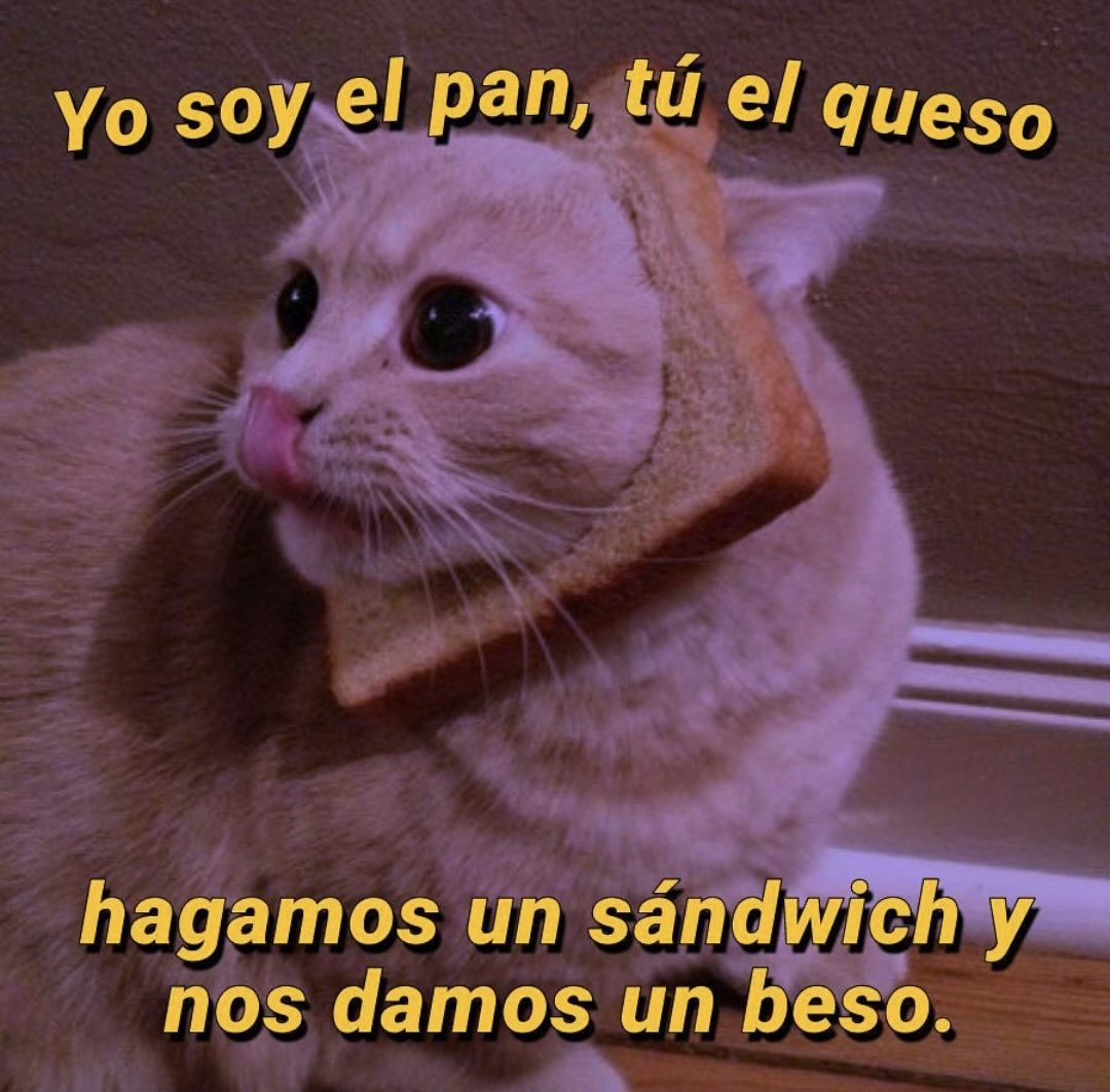 Ya ando diciendo incoherencias porque no quiero ir a trabajar 😅