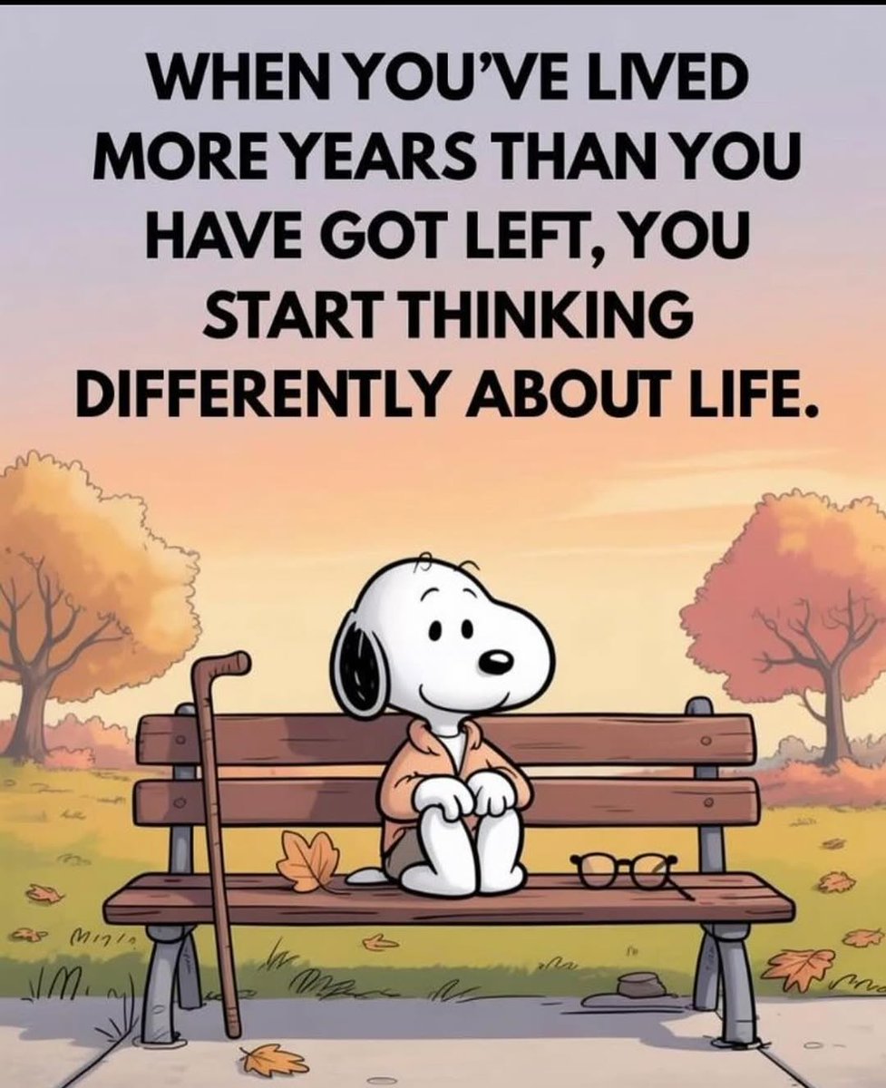 Mind Essentials (@mind_essentials) on Twitter photo 