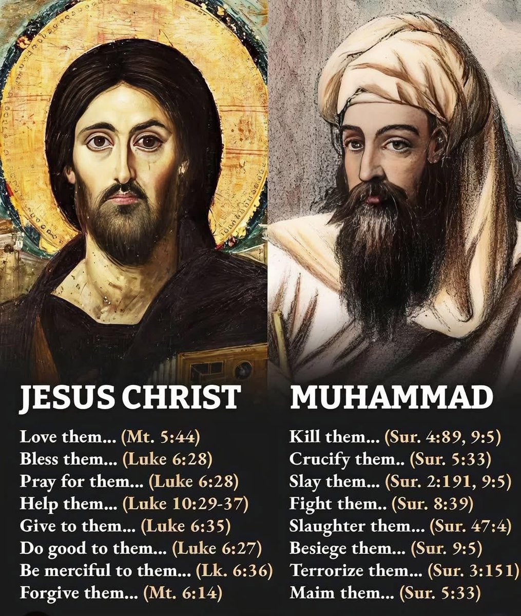 sadiebodes's tweet image. 