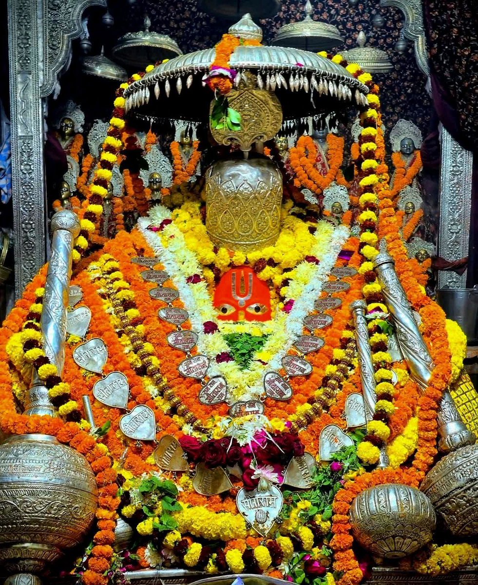 🌺🌻🌻
#श्री_हनुमान_जी_महाराज जी की प्रातः कालीन शुभ मंगला श्रृंगार आरती दर्शन 🌺 #श्री_हनुमानगढ़ी_अयोध्याधामजी।।_ 🌺🌻 दिनांक~  21/11/2025 🌻 दिन - शुक्रवार 🌺 श्री हनुमान जी महाराज सबके सकल मनोरथ सिद्ध करें।।🌺🌻
     🌺जय बजरंगबली।🌺
┈┉┅━❀꧁ω❍ω꧂❀━┅┉┈