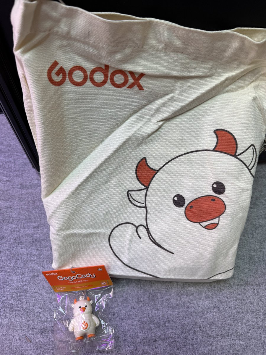 ケンコープロフェショナルイメージ　KPIの裏は
Godoxのブースです

このデカいの扱うのかなぁ？？
（らしい？）

※モノブロックは展示してません🙇よ

販促グッズ貰いました
（身内だと思われてない😆」
