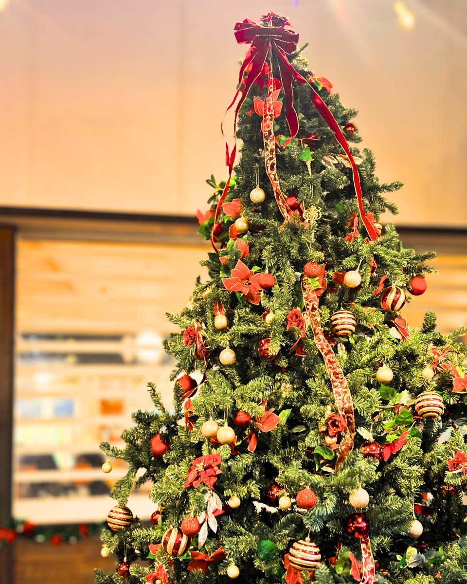 🎄クリスマスまであと1ヶ月🎄 みなさんクリスマスのご予定はお決まり