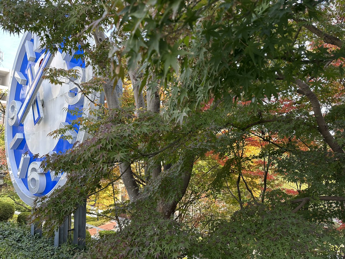 wolfandrabbit's tweet photo. 今年の本学の大時計と紅葉🍁🕰️ https://t.co/RZ7FLEsID1