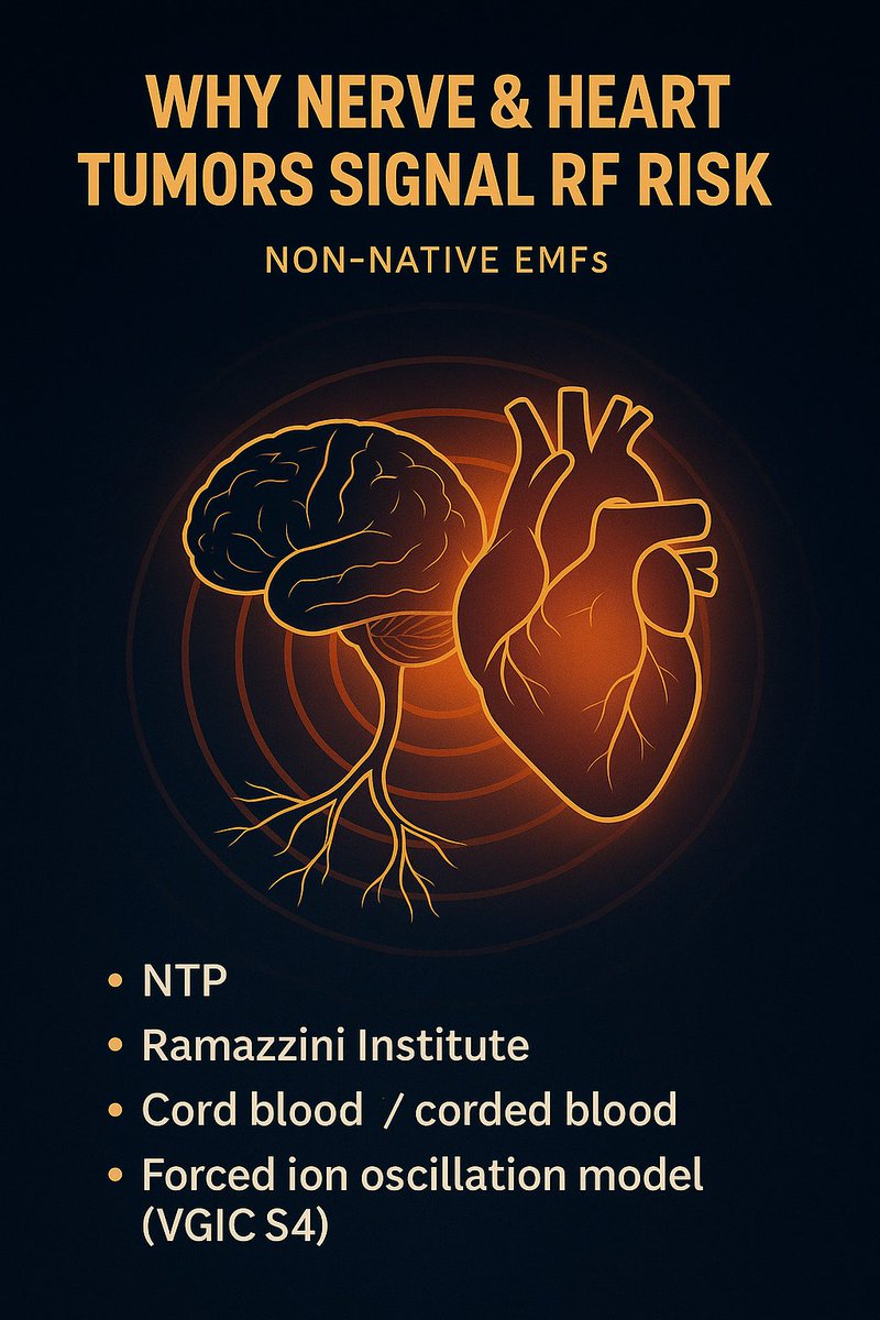One Mechanism. Millions of Children Harmed.

The Proof Is Now Final (2025).

In 1995, a little girl named Angel Leigh Coates died.

Her father, RF Safe's founder, promised her he would find out why.

Thirty years later, the answer is in — and it is horrifying.

Every modern