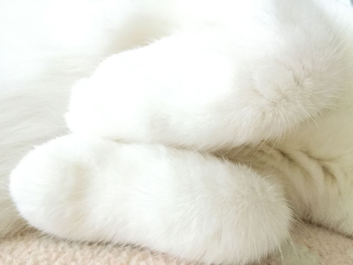 Ems !! 🔞 tweet media