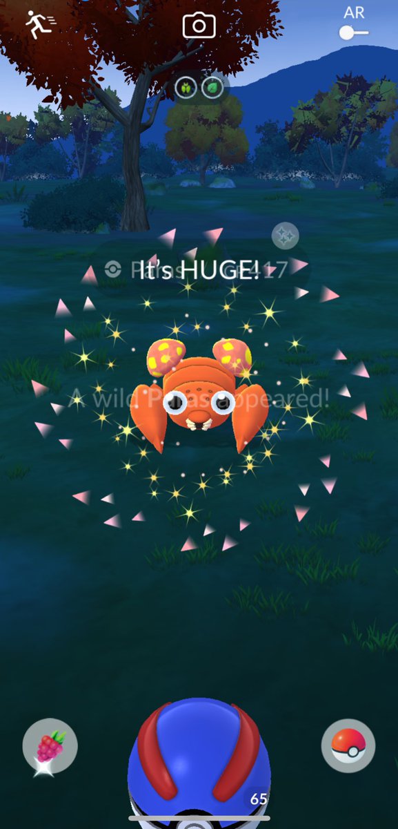 milieva13's tweet image. Double #sparkles ✨✨✨
#PokemonGO #CatchThemAll #ShinyPokemon #shiny