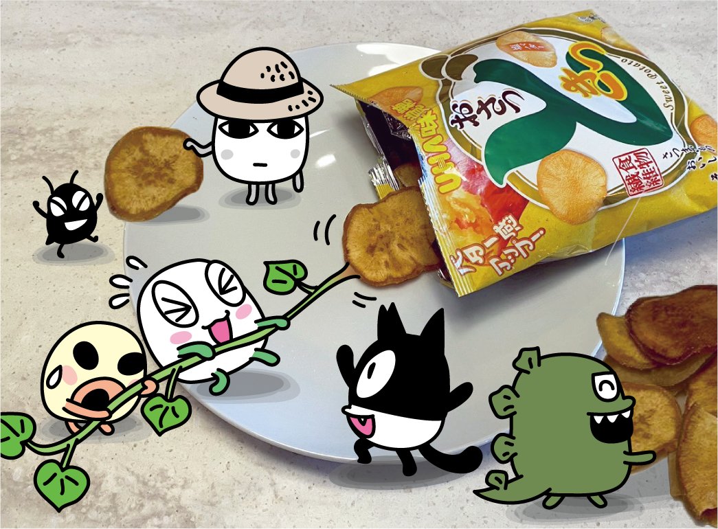 確認用   ぷっちょ@ ぷっちょ【公式】 (@pucchokun) / Posts / X