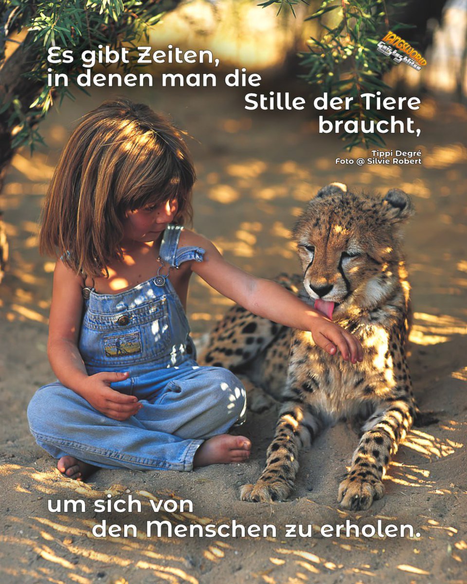 WerteUnion Bremen (@werteunionhb) on Twitter photo 