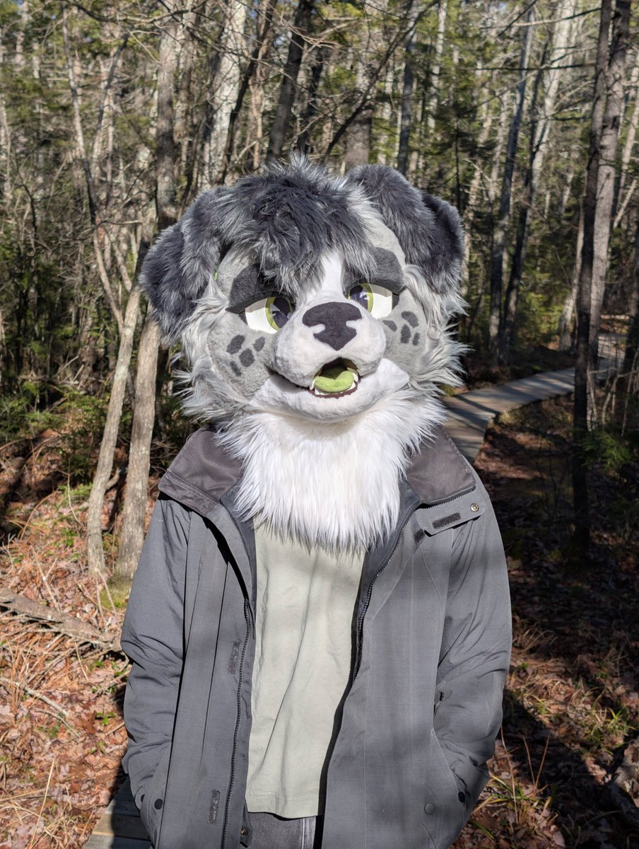 CollieChar's tweet photo. don’t forget to take your pup on walkies https://t.co/tOnGfLKBJq
