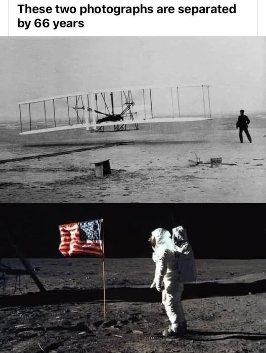 SF_Fantasy_Show's tweet image. 