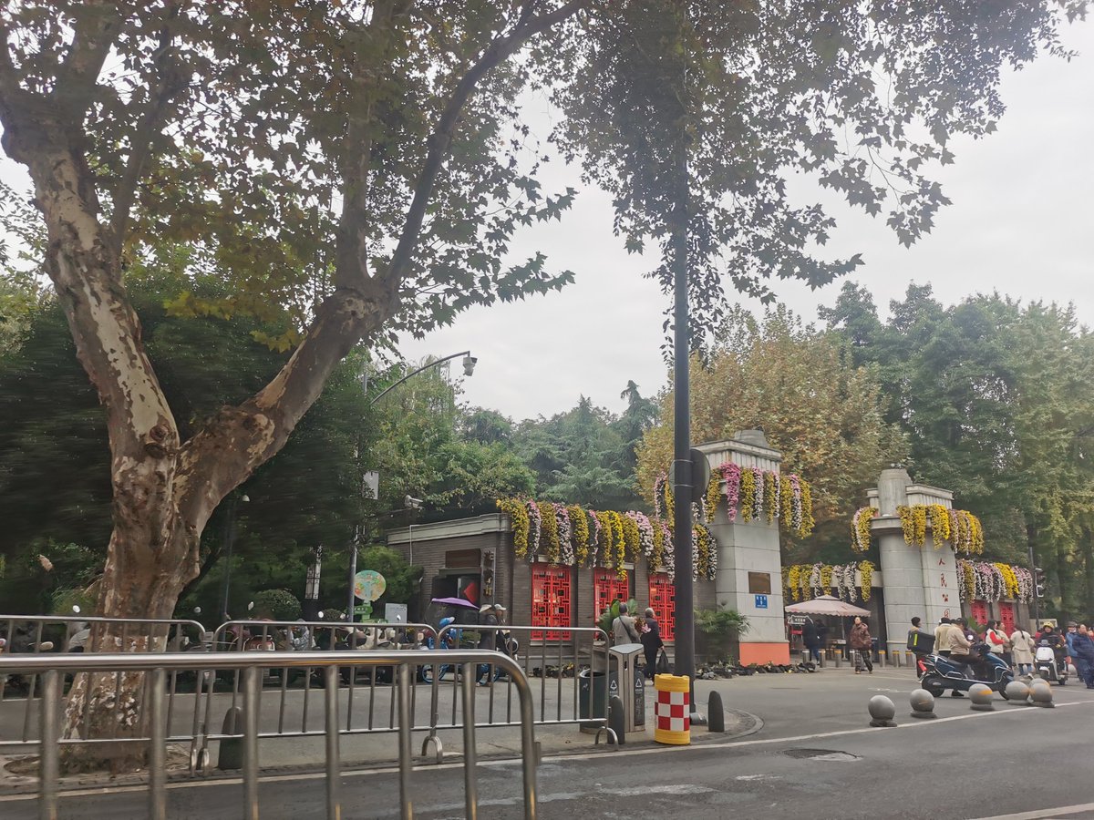 ningxing2021's tweet photo. https://t.co/q4OxOISQ17