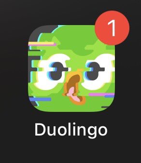 듀오링고 멘헤라 됨
이러다 칼 들고 
튀어나오겠는데
저 너무 무서워요