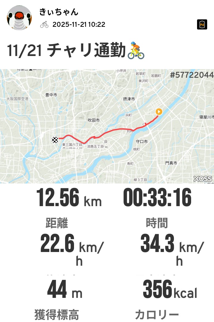 S★K様 完成品ご確認ページ☺︎ k】 2024 Kawasaki ZX636, K | JKBZXJK18RA001344 | Bid History