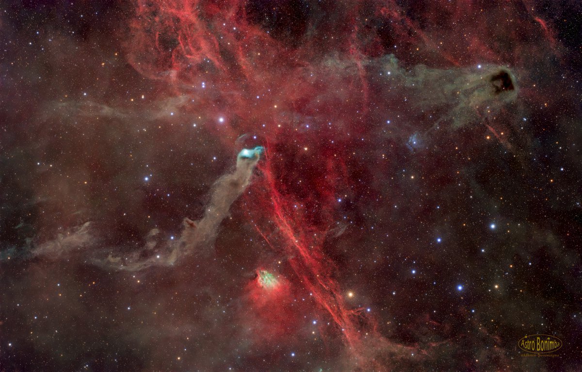 Optolong_filter's tweet image. Lbn528 and Lbn532, dark nebulae in the constellation Cepheus.
Light:149x600&quot; #Optolong L-Ultimate filter
Light:215x300&quot;Optolong L-Pro filter
Light:89x300&quot;Optolong L-Qef #filter
Total: 50h:10m
Dark:30x600‘-30x300’
Flat and Dark-Flat:45x5&quot; for each filter
Credit:Federico Boninsegna