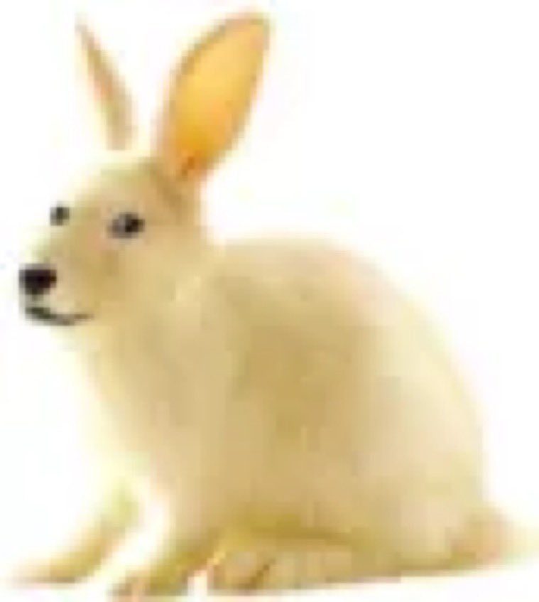 csiirac's tweet image. just took this photo