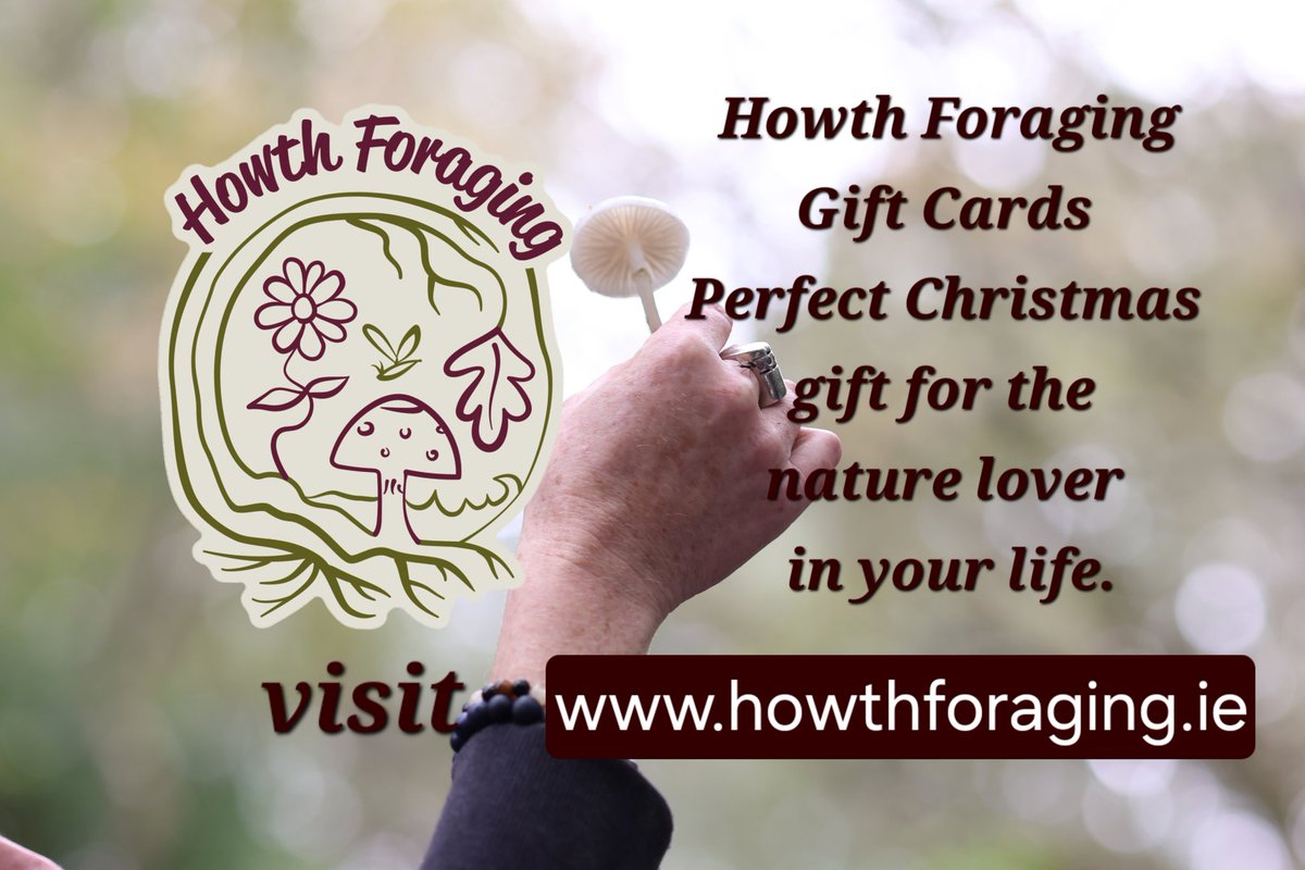 HowthForaging's tweet image. Looking for that perfect gift for the nature lover in your life? Why not purchase a Howth Foraging Gift Card, which can be used on any of our tours that run throughout the year. Virtual gift cards are available on our site.
howthforaging.ie 

#giftcard #Christmas
#nature