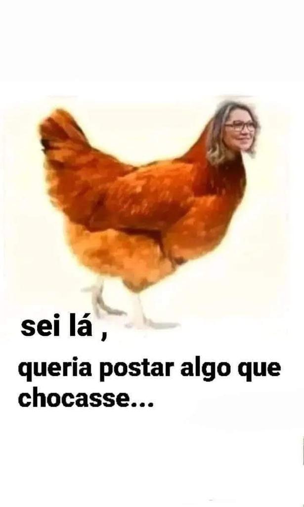 ElieteGervasio's tweet image. 🤣🤣🤣🤣🤣🤣🤣🤣