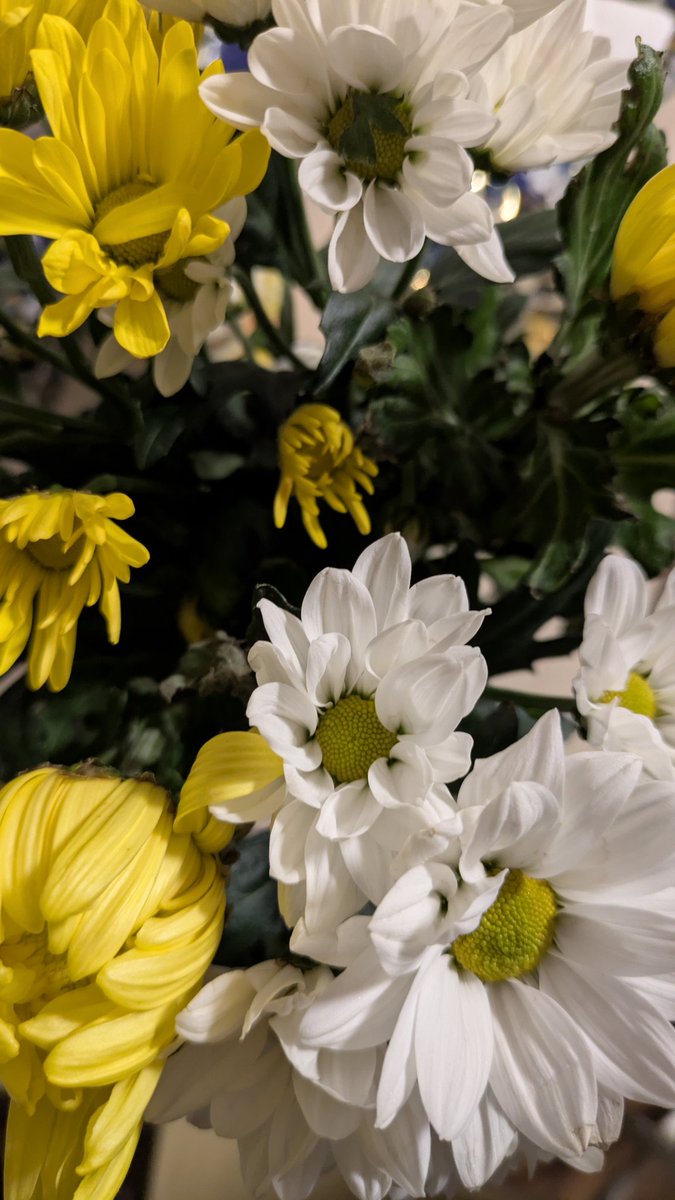 菊の花とともに、頑張ってます。 とりあえず今日は午後は休みます。 寝