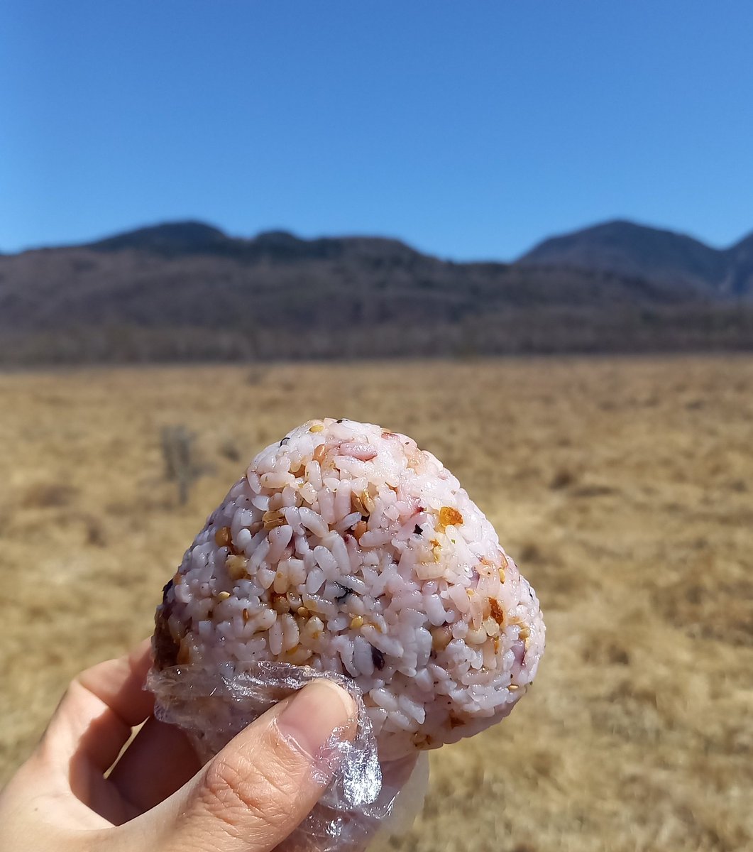 TFTjp's tweet image. #OnigiriAction FOR JAPAN 🇯🇵
開催中です！

おにぎりアクションは、
✔️おにぎりの写真
✔️おにぎりを作っている写真
✔️おにぎりを食べている写真
✔️おにぎりのイラストやモチーフ
✔️過去のおにぎりの写真
…など、おにぎりにまつわる写真だったらなんでもOK🙆‍♀️

自分らしく、無理なく楽しく、…