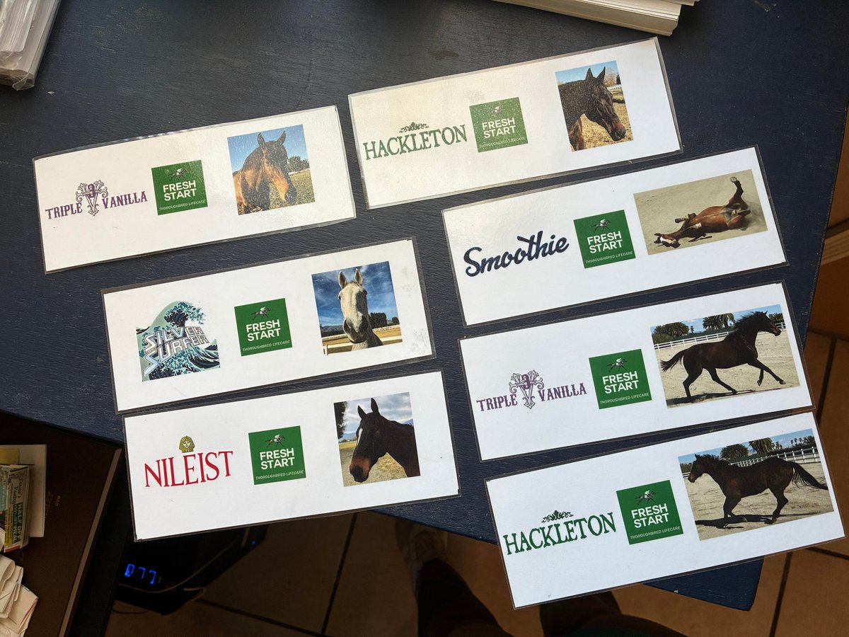 GloriousAllianc's tweet image. Christmas and Holiday Haiku Contest! Pick one of our horses and write a correct 5,7,5 syllable Haiku! Put it under this post by Noon on Sunday 11/23 to be eligible to win one of these Fresh Start horse Bookmarks!!
