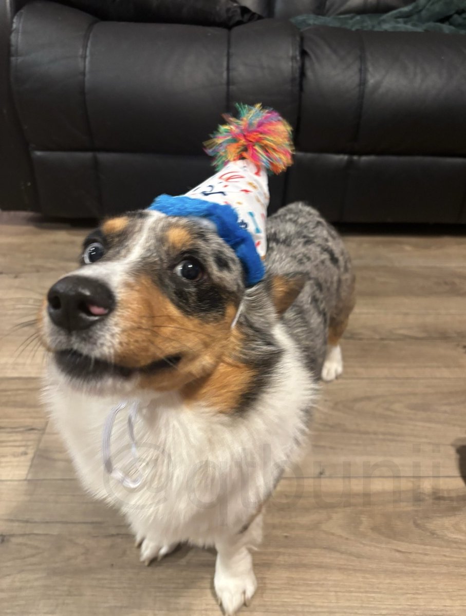 qtbunii's tweet image. birthday boy 🥳🎉