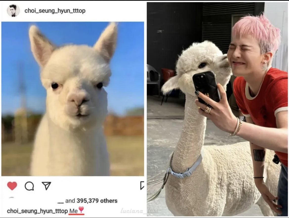 janeiran04's tweet image. 