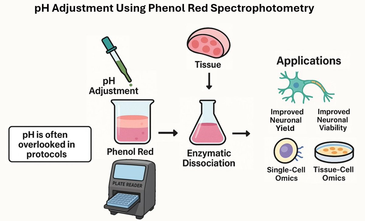 Biosensors_MDPI's tweet image. 📣Call for Reading:

#Article
Rigor &amp;amp; Reproducibility: pH Adjustments of Papain with L-Cysteine Dissociation Solutions and Cell Media Using Phenol Red Spectrophotometry

by Josh Hilner, et al.
mdpi.com/2079-6374/15/1…

#PhenolRed #pHindicator #Lcysteine #spectrophotometry #mdpi